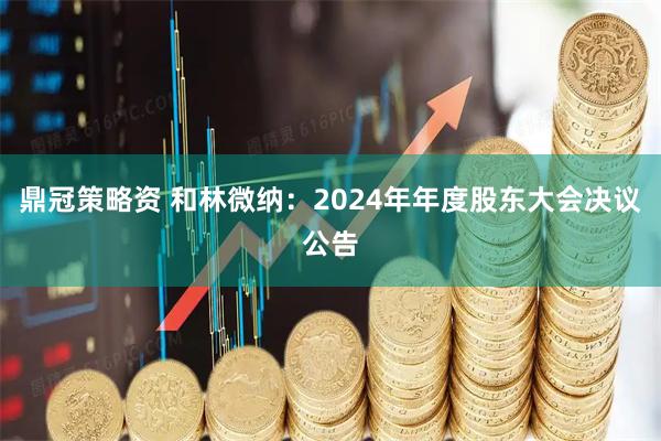 鼎冠策略资 和林微纳：2024年年度股东大会决议公告
