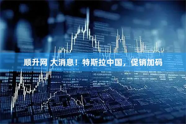 顺升网 大消息！特斯拉中国，促销加码