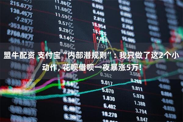 盟牛配资 支付宝“内部潜规则”: 我只做了这2个小动作, 花呗借呗一夜暴涨5万!