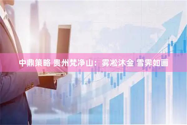 中鼎策略 贵州梵净山：雾凇沐金 雪霁如画