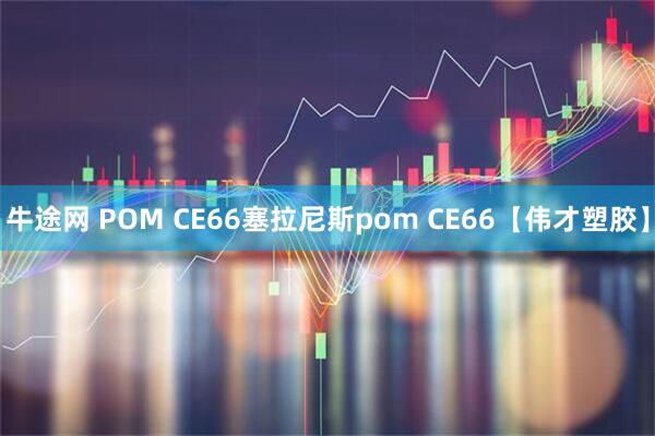牛途网 POM CE66塞拉尼斯pom CE66【伟才塑胶】