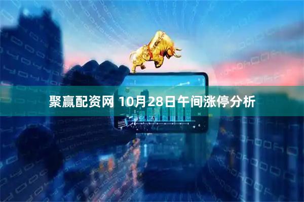 聚赢配资网 10月28日午间涨停分析