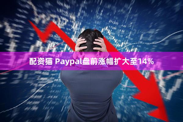 配资猫 Paypal盘前涨幅扩大至14%