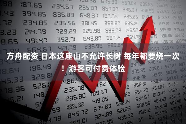 方舟配资 日本这座山不允许长树 每年都要烧一次！游客可付费体验