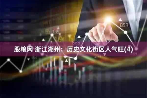 股粮网 浙江湖州：历史文化街区人气旺(4)